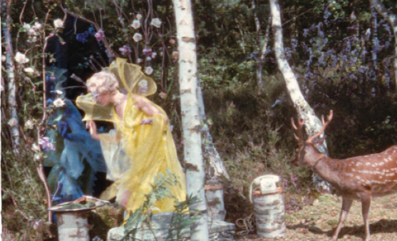 La grotte de la fée des Lilas